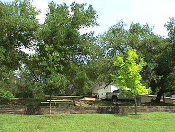 hillside1
